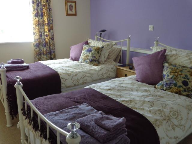 Lodge House B&B Buckland St Mary Pokój zdjęcie